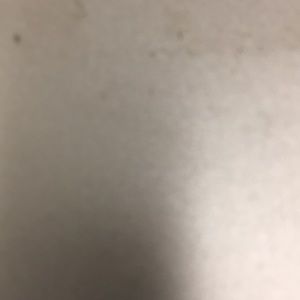 Meet your Posher, Maureen